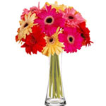 Cheerful Arrangement with Vase