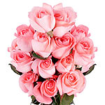 Beautiful 12 Pink New Year Roses