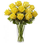 Blooming Yellow Roses