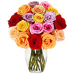 Precious Love Mixed Roses