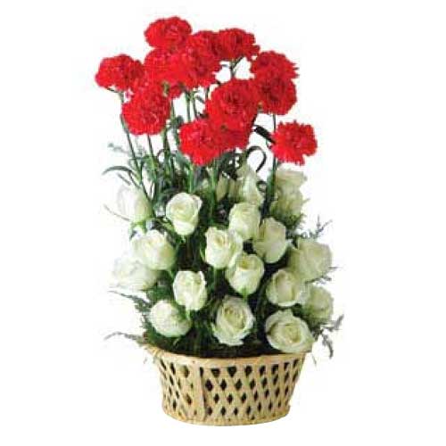 1 dozen Red Carnations