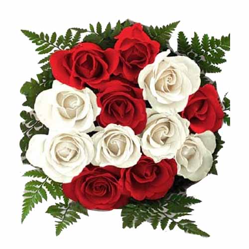 One dozen red n white mix roses in a bouquet.
