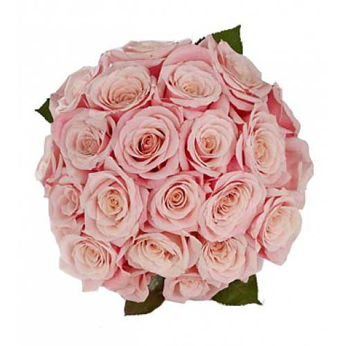 2 dozen pink roses in bouquet