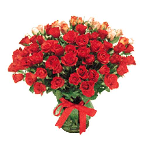 5 dozen red roses in a vase/Box