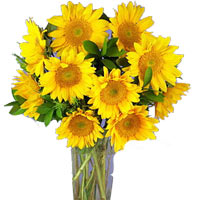 10pcs Sunflower in a Vase