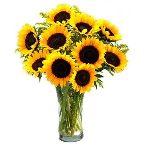 One Dozen Sunflower in a Vase