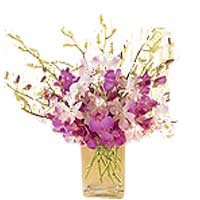 Mixed Purple n White Orchids in a Vase