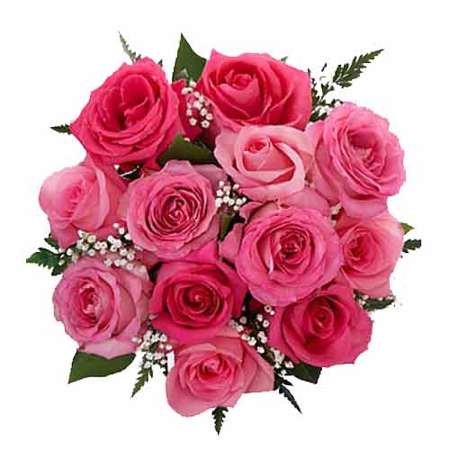 One Dozen Pink Roses