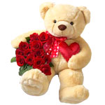 A cute teddy bear (18.5  tall) holding 1 dozen red......  to San Pablo