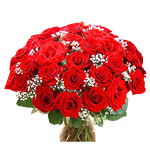 Two dozen red roses in a vase with babys breath.......  to Valenzuela