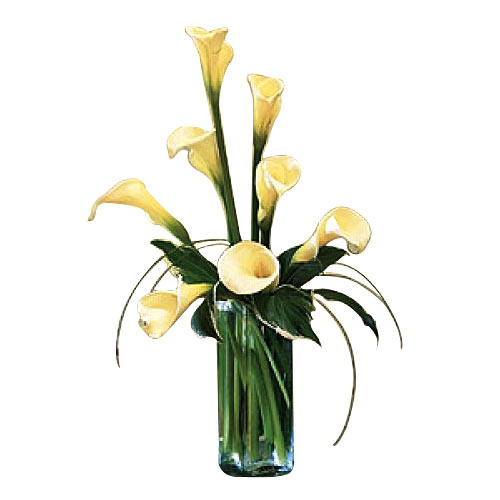 8 pcs calla Lilies in a vase. An unique and classi......  to Kabankalan