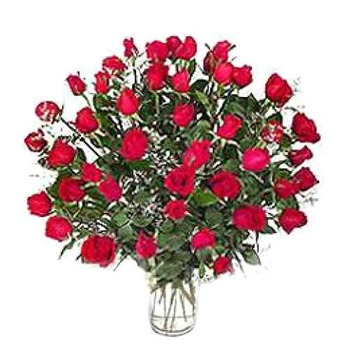 4 dozen red roses in a vase.