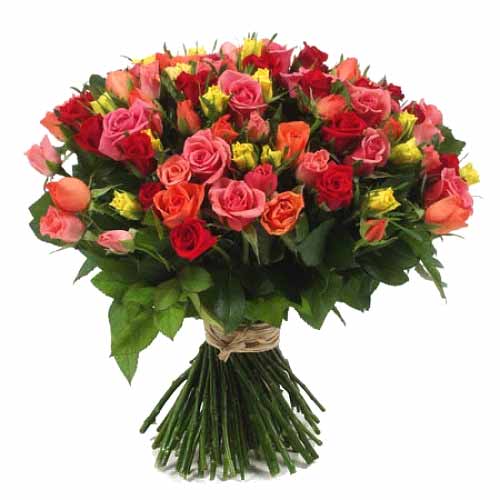 101 pcs long stemmed fresh cut multi colored roses......  to Candon
