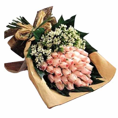 Two dozen choice of pink/peach/red/yellow roses in......  to Cauayan_Philippine.asp