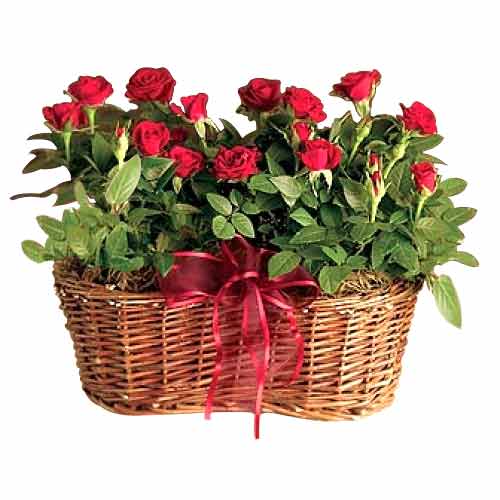 Enjoy the Rose Basket. This charming wicker basket......  to Gapan