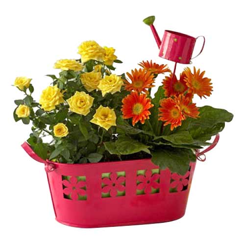Basket Of Fresh Blooms.<br>- Half Dozen Orange Ger......  to Balanga_Philippine.asp
