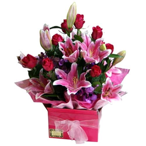 Fresh Mixed Cut Flowers Arrangement Contains Starg......  to Angeles_Philippine.asp