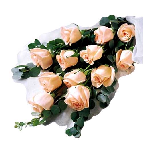 1 dozen peach roses in a nice bouquet!......  to Tabaco