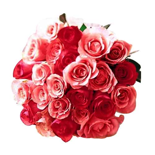 2 dozen red & pink roses mix......  to Iriga