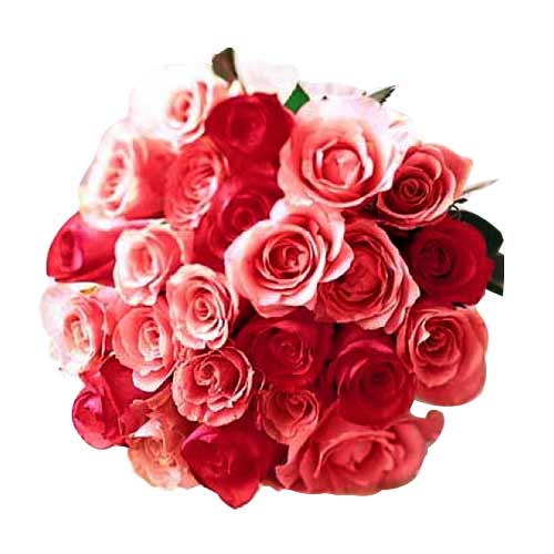 2 dozen red & pink roses mix......  to Roxas