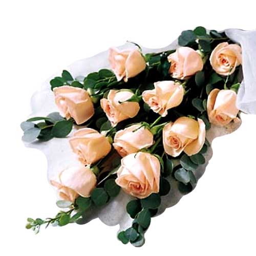 1 dozen peach roses in bouquet......  to Dagupan_Philippine.asp