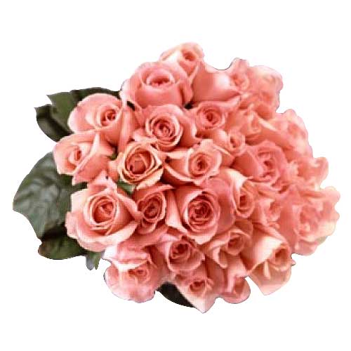 2 dozen peach roses in a bouquet......  to Sagay_Philippine.asp