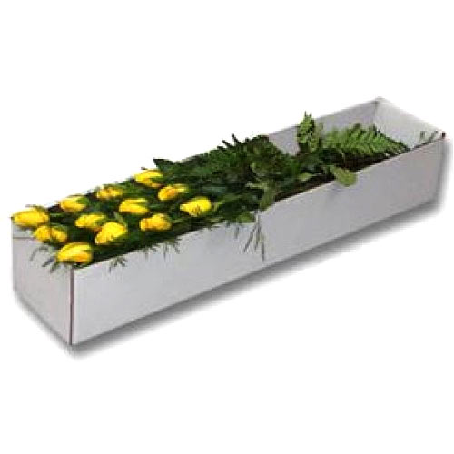 1 dozen yellow roses in a box