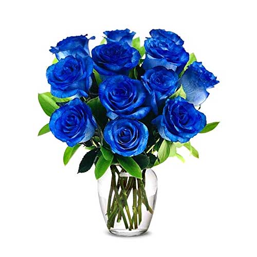 1 dozen blue roses in a vase