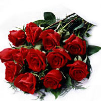 A traditional presentation for roses, this dozen s......  to La Carlota_Philippine.asp