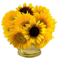 6pcs Sunflower in a Vase......  to Palayan_Philippine.asp