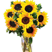 7pcs Sunflower in a Vase......  to Muntinlupa_Philippine.asp