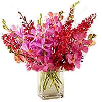 Two Dozen Assorted Orchids in a Vase......  to Bais_Philippine.asp