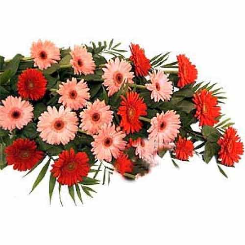 Pretty wrapped bouquet of 12 stems of pink and red......  to Dumaguete_Philippine.asp