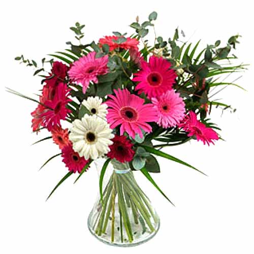 12 pcs Mixed Gerbera  Arrange in a Glass Vase......  to Urdaneta_Philippine.asp