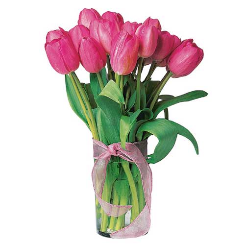 10 pieces of Tulip......  to Dipolog