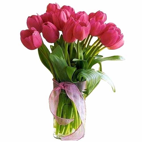 10 pcs multi colored tulips...