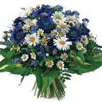 Send a man best floral wishes!<br>Mixed bouquet of...