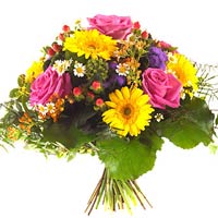 Send rainbow of colores!<br>Roses, gerberas and ma...