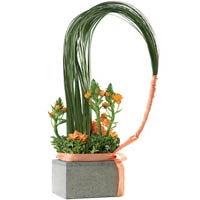 Arrangement created with passion!<br>Wonderful flowers: ornithogalum dubium deco...