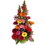 Gorgeous Rainbow Arrangement of Mixed Flower<br>