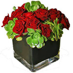 Black Cube With Red Roses