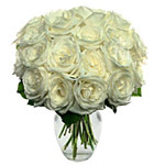 Beauty Of White Roses