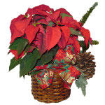 Poinsettia Centerpiece