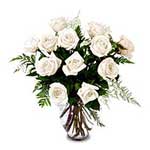 12 White Roses in a Vase 