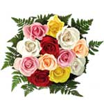 12 Mixed  Rose Bouquet is perfect for any occasion....