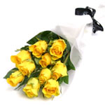 Classic Bright Cluster of Yellow Roses
