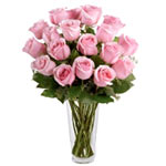 Luminous Bunch of Lovely Pink Roses