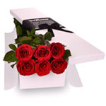 Dazzling Bouquet of 6 Red Roses