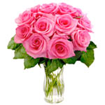Dramatic 12 long-stemmed Pink Roses with Christmas Greetings