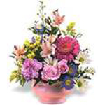 Pot Arrangement of Seasonal Flowers
...